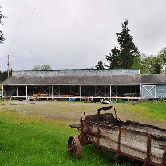 Mukai Cold Process Fruit Barrelling Plant