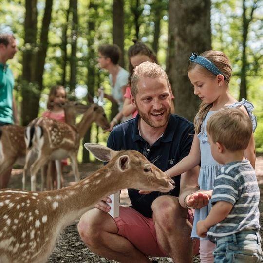 Wildparadies Tripsdrill