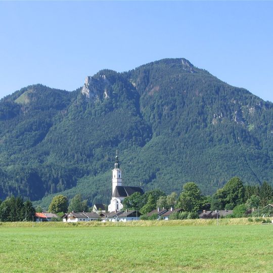 Großer Riesenkopf