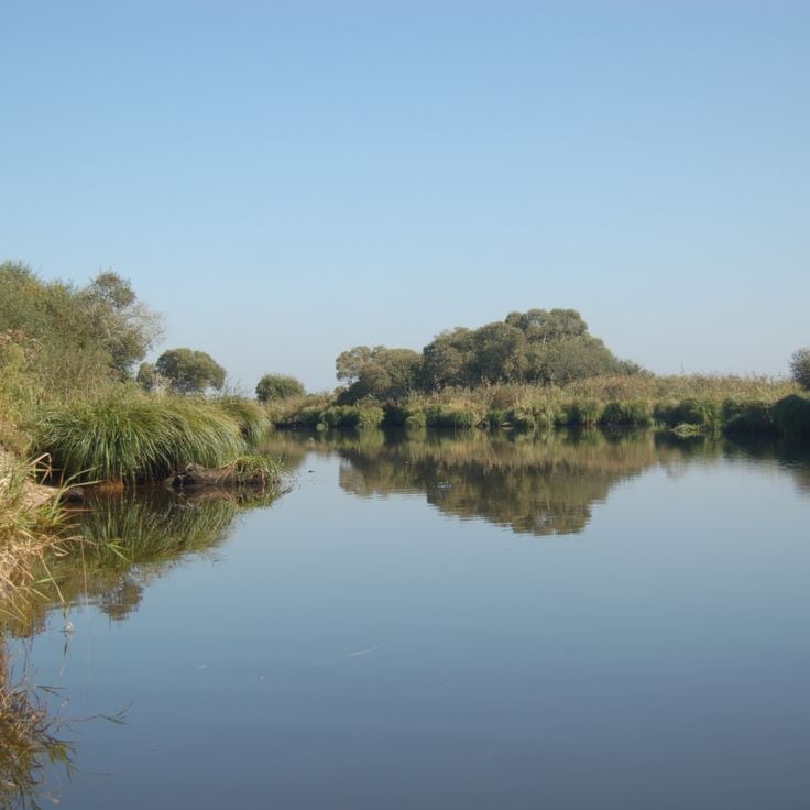Brière Regional Natural Park