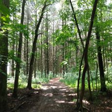 Hidden Springs State Forest