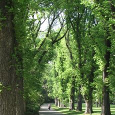 Fitzroy Gardens