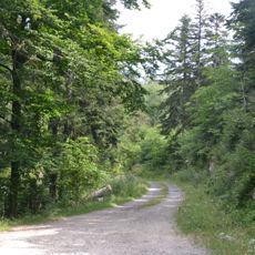 Forêt domaniale des Fanges