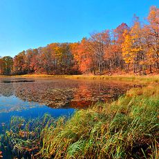 Chippewa Moraine Lakes State Natural Area