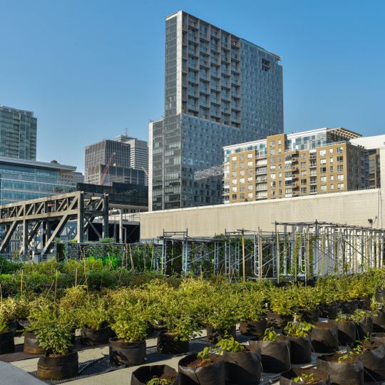 Toit vert du Palais des congrès de Montréal