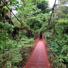 Monteverde Cloud Forest Reserve