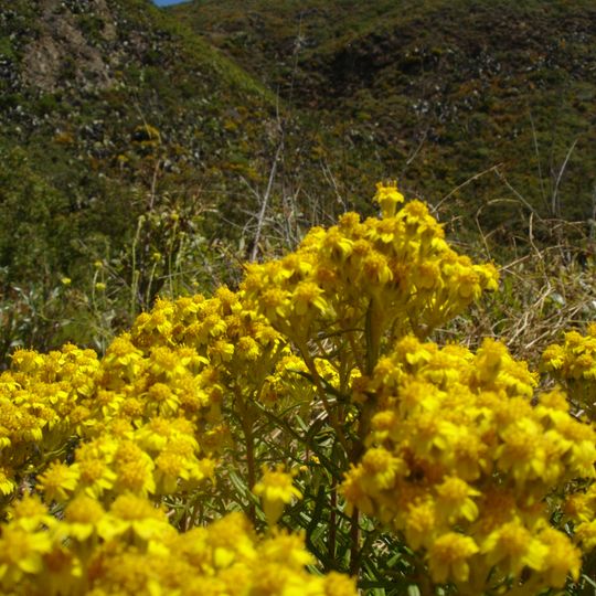 Parc d'État de Garrapata