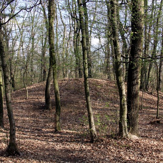 Hügelgräberfeld Bauernwald II