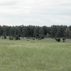 Samuel R. McKelvie National Forest