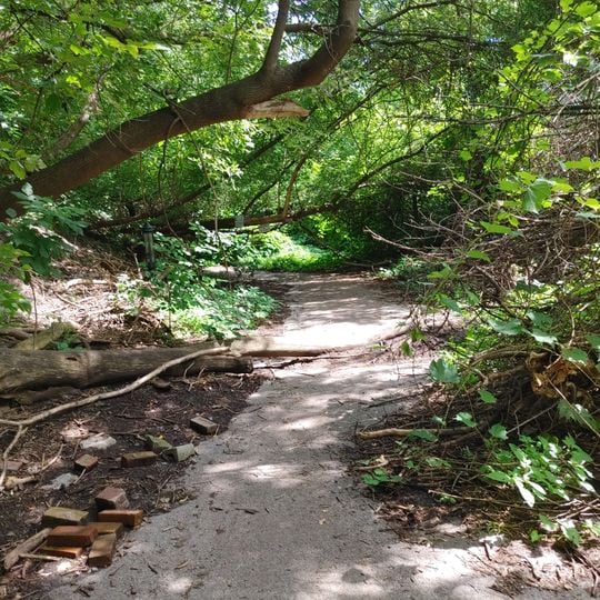 Saint-Jacques Escarpment