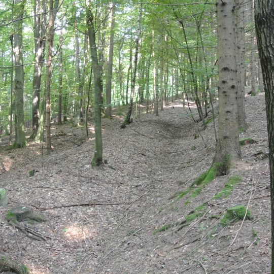 Grabhügelgruppe im Blumental