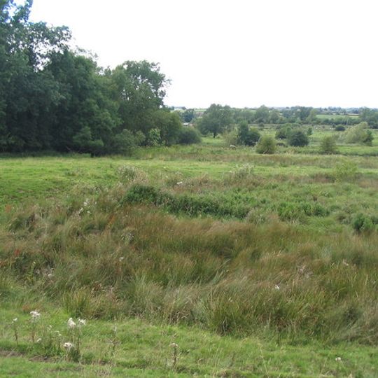 Frisby Marsh