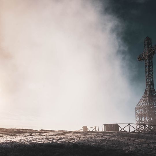 Pascoli montani e cespuglieti del Pratomagno