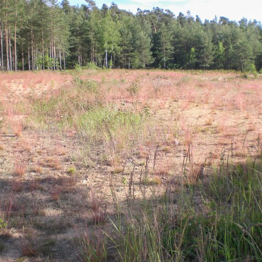 Sandgruben am Föhrenbuck