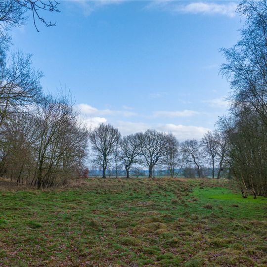 Hügelgräber in der Hotfeldheide und Schulreith