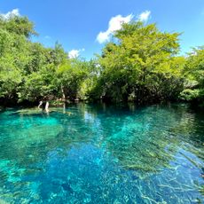 Reserva ecologica Ojos Indigenas