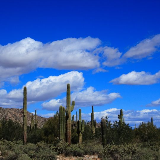 White Tank Mountain Regional Park