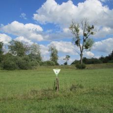 Naturschutzgebiet "Wusterhang und Beierwies bei Fechingen" (N 6708-302)