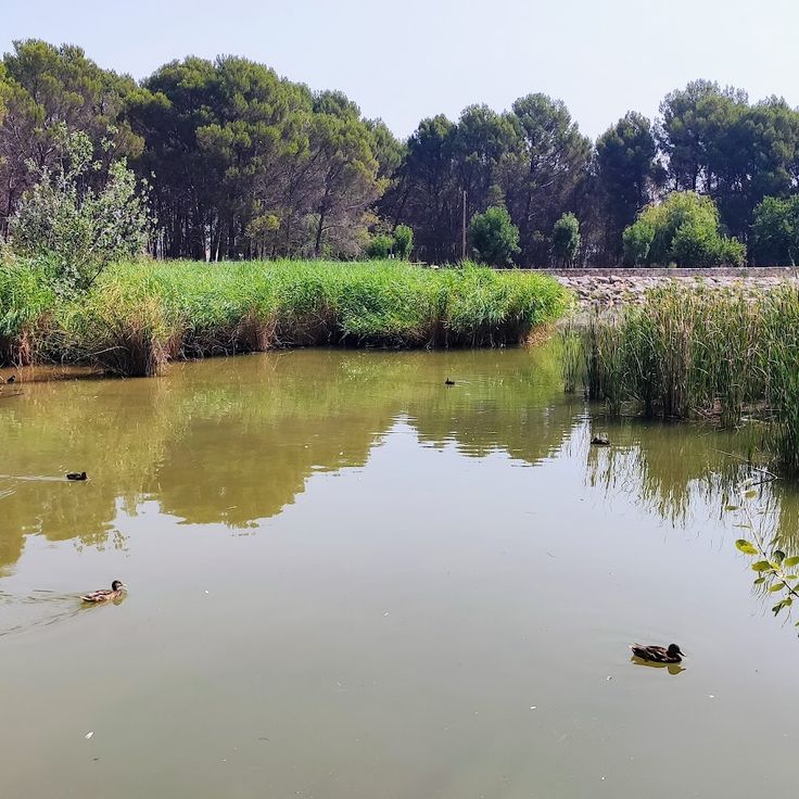 Parco Naturale de La Grajera