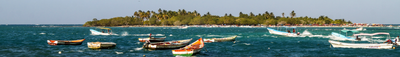 Panoramic View 0