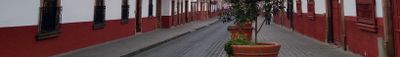 Panoramic View 0