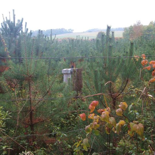 Kříž východně od Dohanic