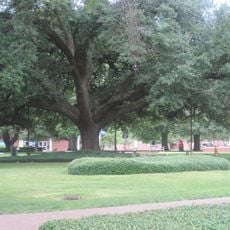 Louisiana Tech University Arboretum