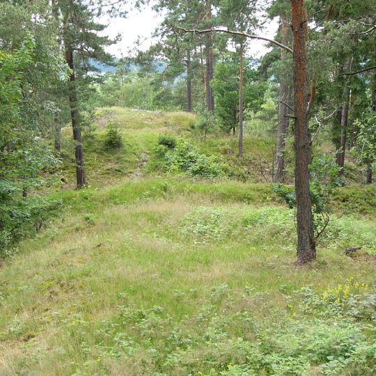 Ringwallanlage Förbau