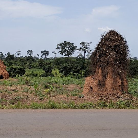 Parco nazionale di Marahoué