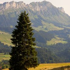 Entlebuch Biosphere