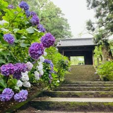 Daichū-ji Temple