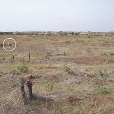 Great Indian Bustard Sanctuary