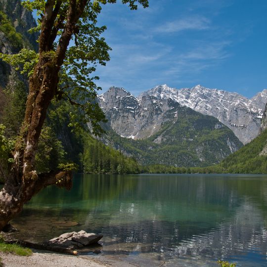 Obersee