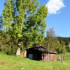 Brechelbad beim Oberlaubichlgut