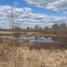 Ahrenviölfelder Westermoor