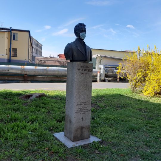 Busta Pavla Kučery v areálu nemocnice u svaté Anny v Brně