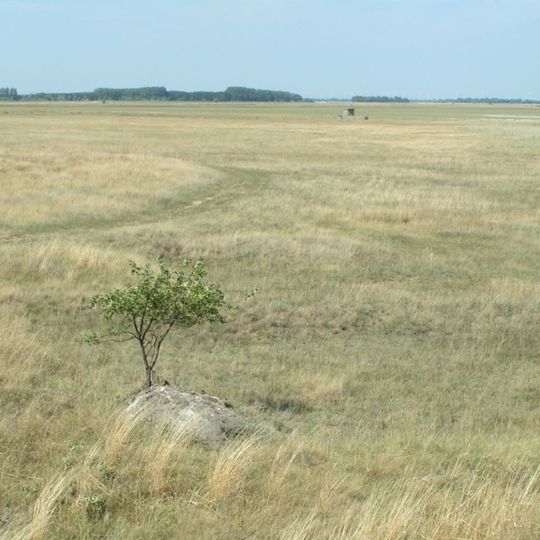 Seewinkel