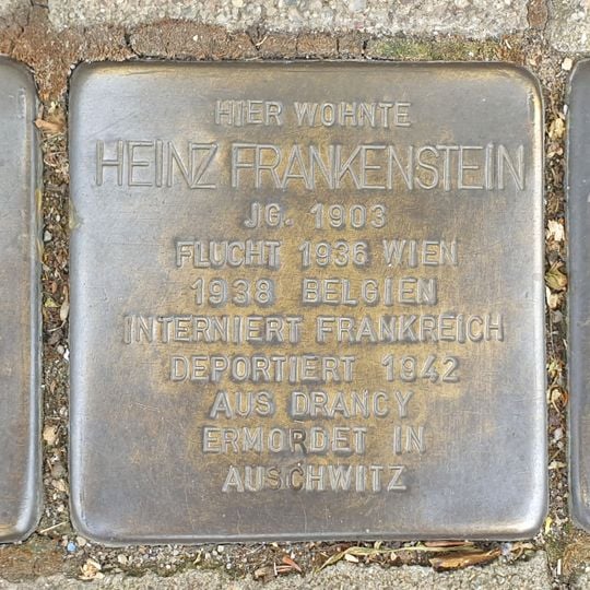 Stolperstein en memoria de Heinz Frankenstein