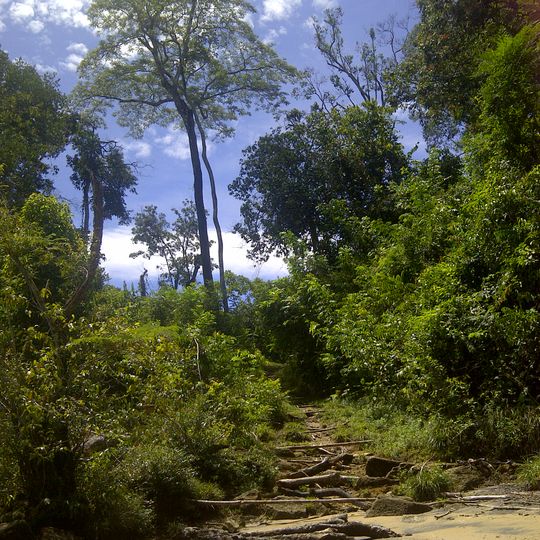 Reserva Forestal del Parguaza