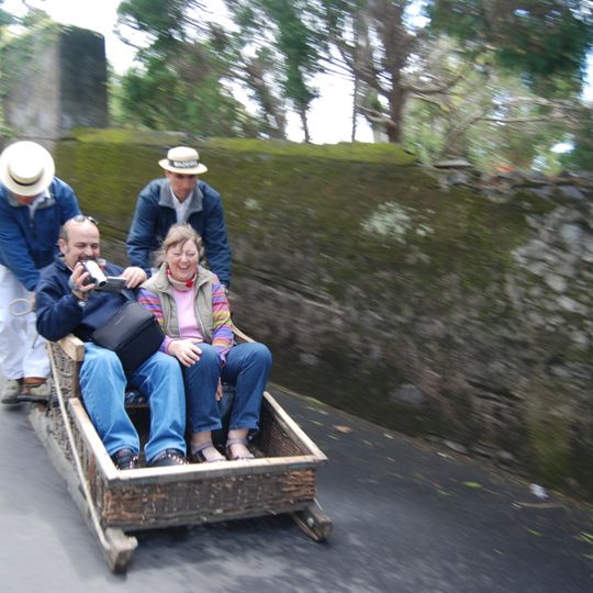 Basket Carts of Monte