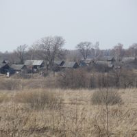 Домачево (Костромська область)