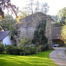 Burg Wolfsberg (Steinekirch)