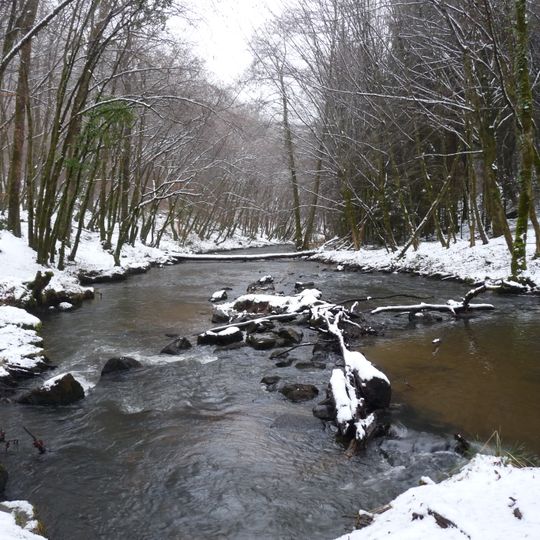 Forêt de Blanchefort