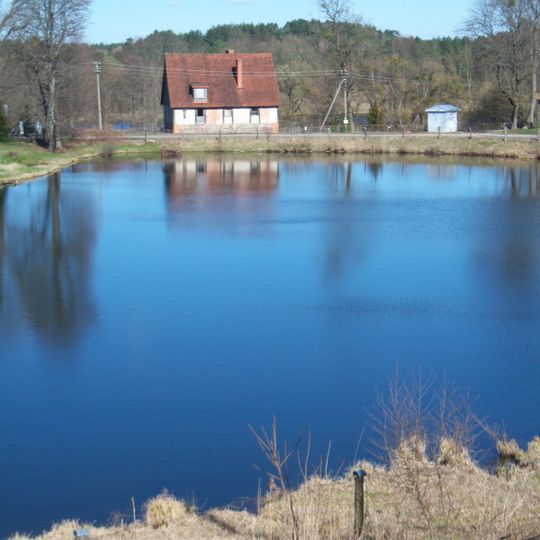 Popierinės tvenkinys