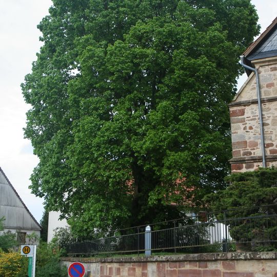 Kirchenlinde von Meineringhausen