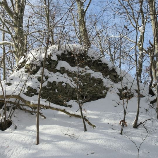 Ruine Kienberg-Heidegg