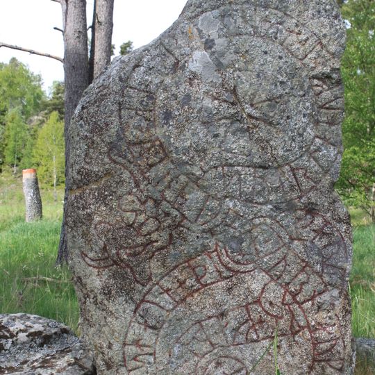 Södermanlands runinskrifter 256