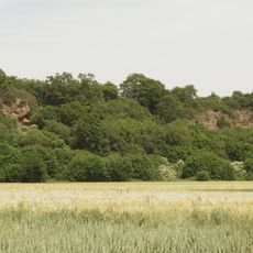 Zechsteinhänge bei Lieschensruh