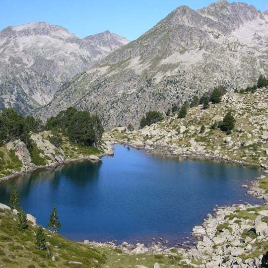 Bassa de les Granotes