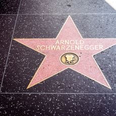 Arnold Schwarzenegger